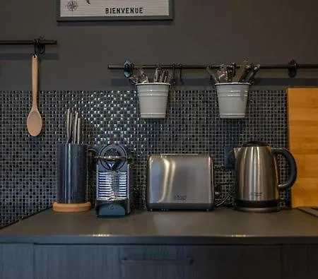 Apartment Delavigne Spacieux Classe 4 Etoiles Parking Privatif Aix-les-Bains