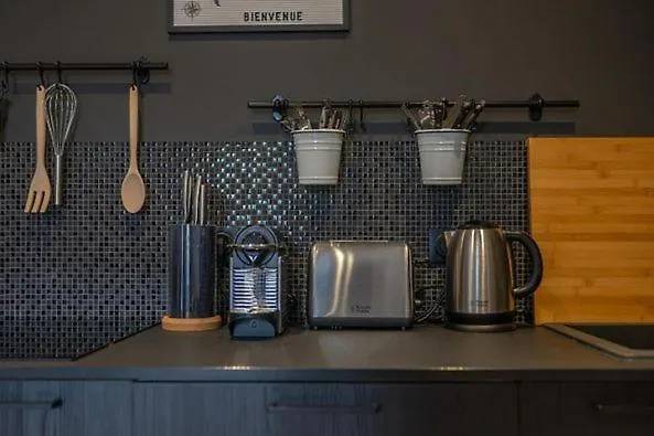 公寓 Delavigne Spacieux Classe 4 Etoiles Parking Privatif 艾克斯莱班